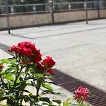 La Vigna Alojamento de Acomodação e Pequeno-almoço 4*