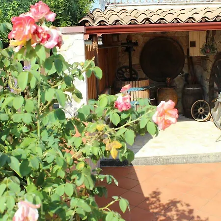 La Vigna Frühstückspension