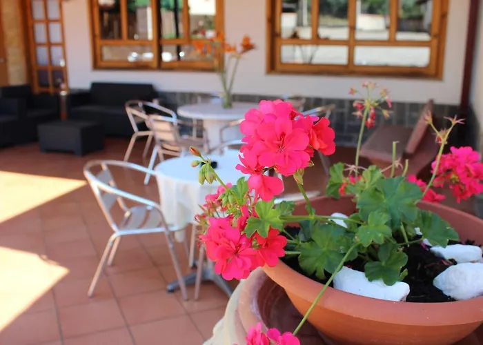 La Vigna Bed and breakfast Lamezia Terme