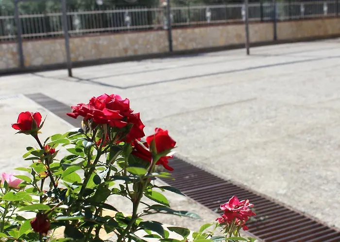 La Vigna Bed & Breakfast 4*