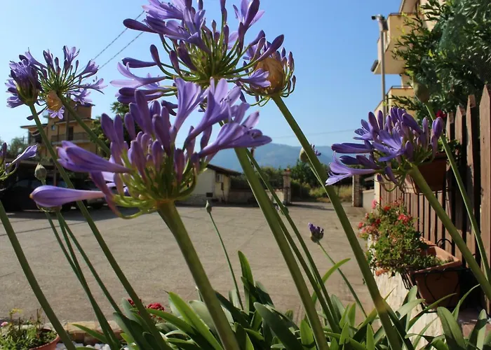 Bed & Breakfast La Vigna 4*